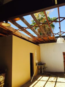 IMG_1613